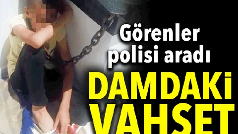 Damdaki Vahşeti Görenler Polisi Aradı