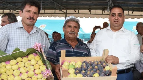 Kentin Tanıtımı İçin Bir İcraat Daha, Tarsus İncir’i Şölenle Tanıtılacak