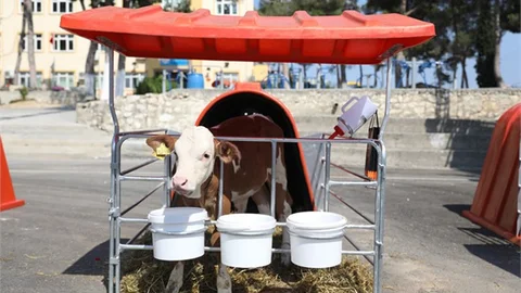 Mersin Büyükşehir’den Buzağı Barınağı Desteği