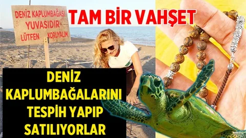 Deniz Kaplumbağalarını Tespih Yapıp Satıyorlar