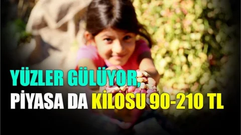 Üreticinin Yüzü Gülüyor Piyasası 90-210 TL Arasında Değişiyor