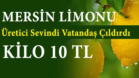 Limon Yüzleri Ekşitti