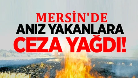 Mersin'de Anız Yakanlara Şok