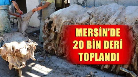 Mersin'de 20 Bin Kurban Derisi Toplandı