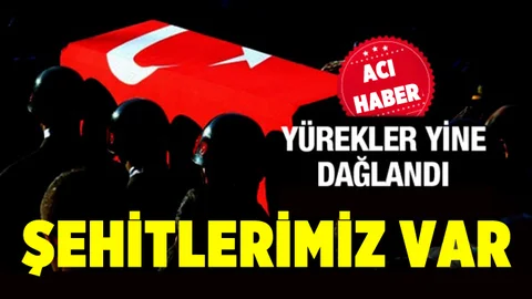 Son Dakika... 2 Askerimiz Şehit Oldu