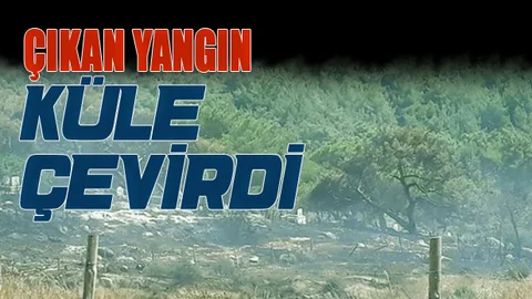 Mersin'de Ören Alanındaki Ormanlık Alanda Yangın Çıktı