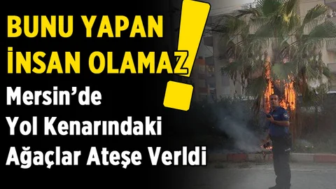Mersin'de Kaldırımdaki Ağaçlar Ateşe Verildi