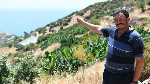 Mersin Anamur Tarımı Can Buluyor