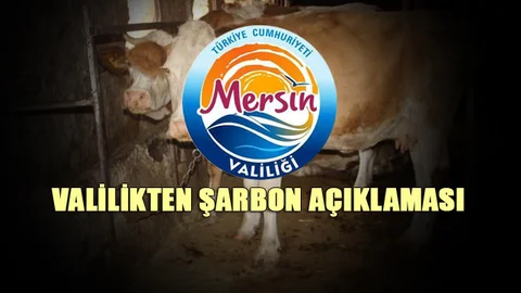 Mersin Valiliğinden "Şarbon" Açıklaması 