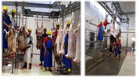 Mersin'de Çıkan Spekülatif Şarbon Paylaşım ve Açıklamalara İlişkin Kamuoyuna Duyuru