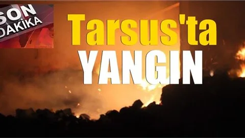 Mersin’de Gece Yarısı Pamuk İşleme Tesisinde Büyük Yangın