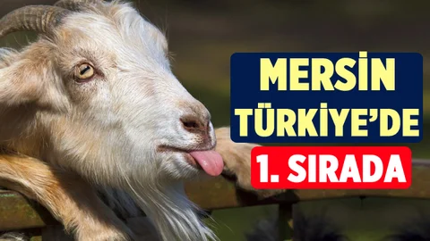 Mersin Türkiye Sıralamasında Birinci Sırada