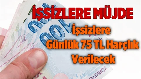 İşsiz Gençlere Günlük 75 TL Cep Harçlığı Verilecek