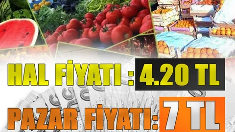 Mersin Hal Sebze Fiyatları, Domates, Biber, Patlıcan, Kabak ve Diğer Sebzelerin Fiyatları