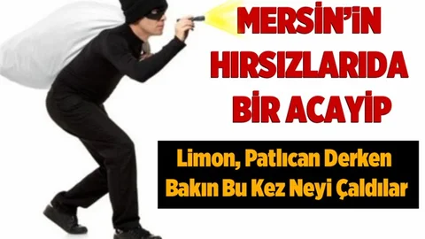 Mersin'de Hırsızlarda Artık Dolara Göre Hırsızlık Yapıyor