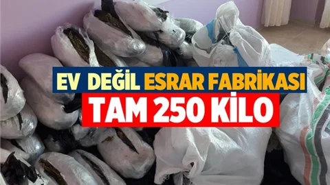 Mersin'de Bir Evde 250 Kilo Esrar Ele Geçirildi