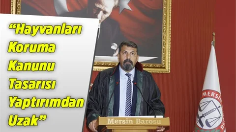 Yeşilboğaz: “Hayvanları Koruma Kanunu Tasarısı Yaptırımdan Uzak”