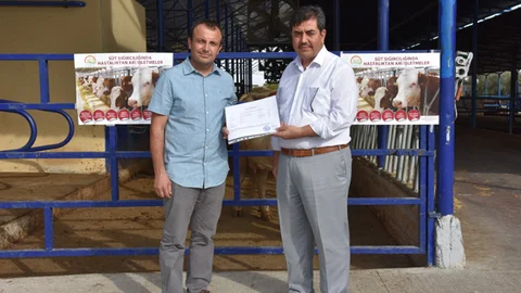 Mersin Tarsus'ta Bir İşletme Ari Belgesi Aldı. Ari Belgesi Nedir?