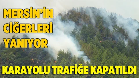 Mersin'de Orman Yangını