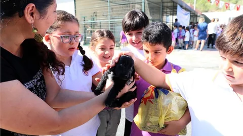 4 Ekim Dünya Hayvanları Koruma Gününde, Minik Hayvanseverler Mersin'e Geldi