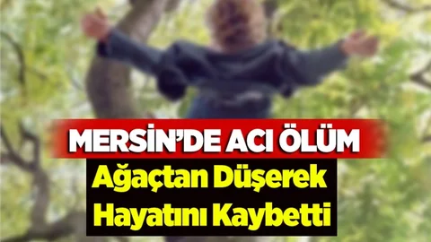 Mersin'de Acı Ölüm! Ağaçtan Düşerek Hayatını Kaybetti
