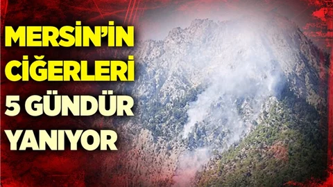 Mersin'in Orman Yangını 5. Gününde
