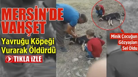 Mersin'de Vahşet! Yavru Köpeği Silahla Vurarak Öldürdü