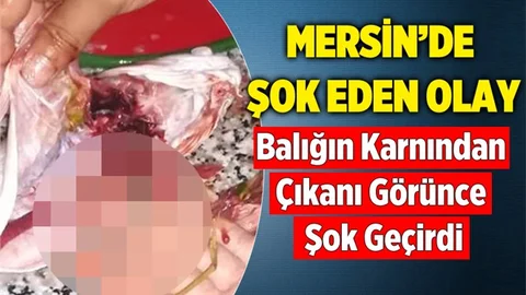 Mersin'de Şok Eden Olay! Balığın Karnından Öyle Bir Şey Çıktı ki