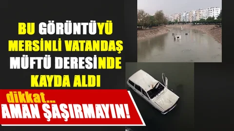 Müftü Deresinde Çekilen Bu Görüntüler İlk Başta Şok Etti, Ancak!