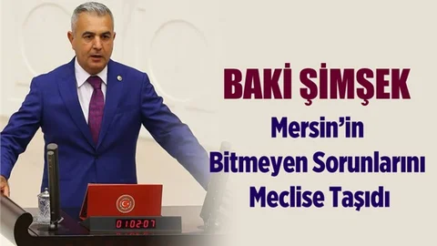 MHP'li Baki Şimşek Mersin'in Bitmeyen Sorunlarını Meclise Taşıdı