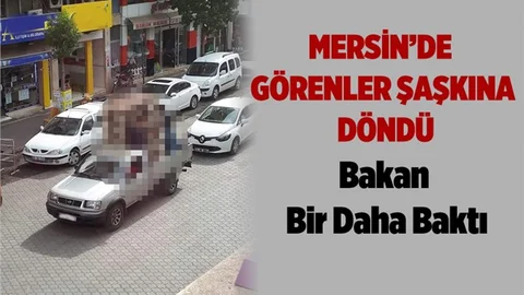Mersin'de Görenleri Şaşkına Çeviren Görüntü! Bakan Bir Daha Baktı