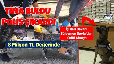 Mersin'de Bir TIR'da 100 Kilo Eroin Ele Geçirildi