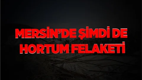 Mersin'de Hortum Dehşeti