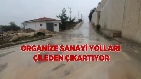 Mersin Organize Saniyi Bölgesinin Yolları Çileden Çıkartıyor