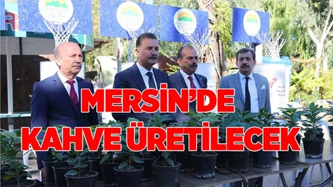 Mersin'de Kahve Üretimi Yapılacak
