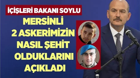 Bakan Soylu, Mersinli 2 Askerin Neden Donarak Şehit Olduğunu Açıkladı.