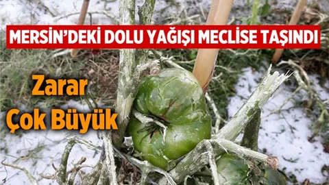 Mersin'deki Dolu Felaketinin Zarar Çok Büyük