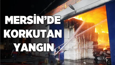 Mersin'de Korkutan Yangın