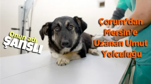 Çorum’dan Mersin’e Uzanan Umut Yolculuğu