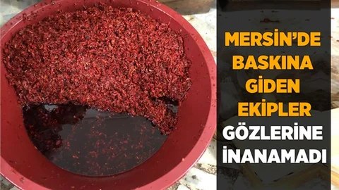 Mersin'de Baskın Yapan Ekipler Gözlerine İnanamadı