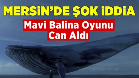 Mavi Balina Mersin'de Can Aldı