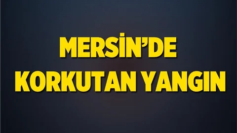 Mersin'de Korkutan Yangın