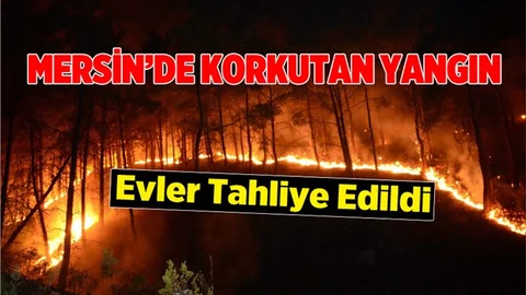 Mersin'de Korkutan Yangın! Küçükbaş Hayvanlar Telef Oldu