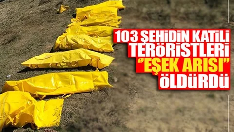 103 Şehidin Katili 18 Pkk'lı Teröristi "eşek Arısı" Öldürdü