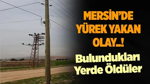 Mersin'de Elektrik Akımına Kapılan Koyunlar Telef Oldu