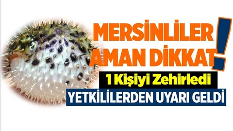 Mersinlililer Dikkat! Dokunurken Dahi Dikkat Edin...