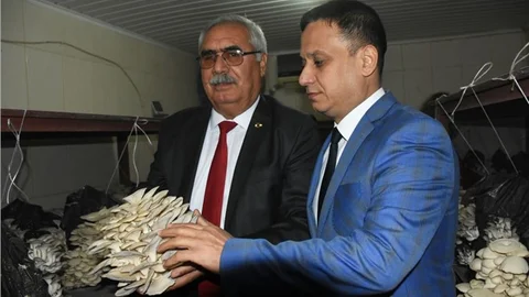 Mantar Yetiştiriciliği Kursunda İlk Hasadı Yapıldı