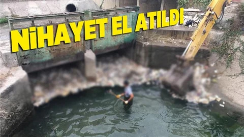 Sonunda El Attılar!