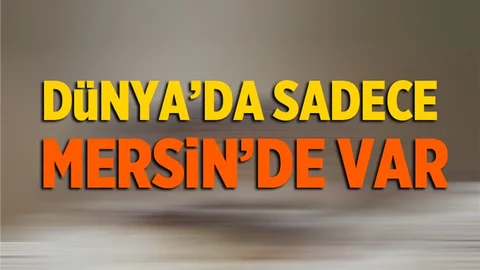 Dünyada Sadece Mersin'de Görüldü