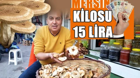 Mersinli Köylüler Ormandan Topluyor Kilosu 15 TL